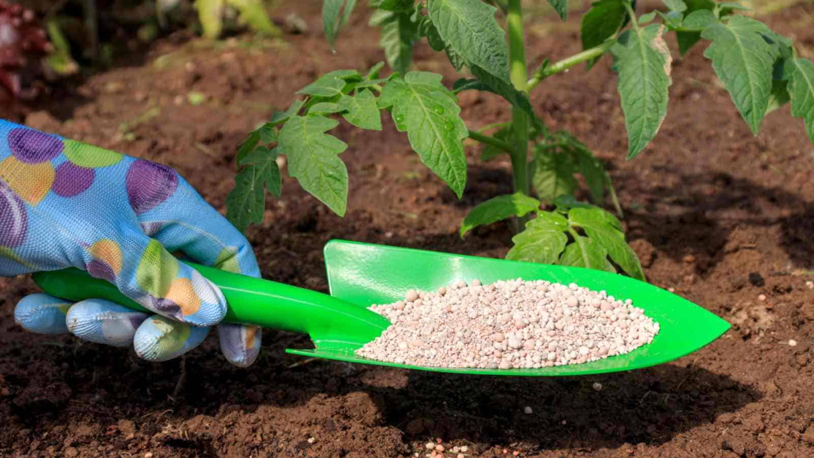 Fertilization Mistakes