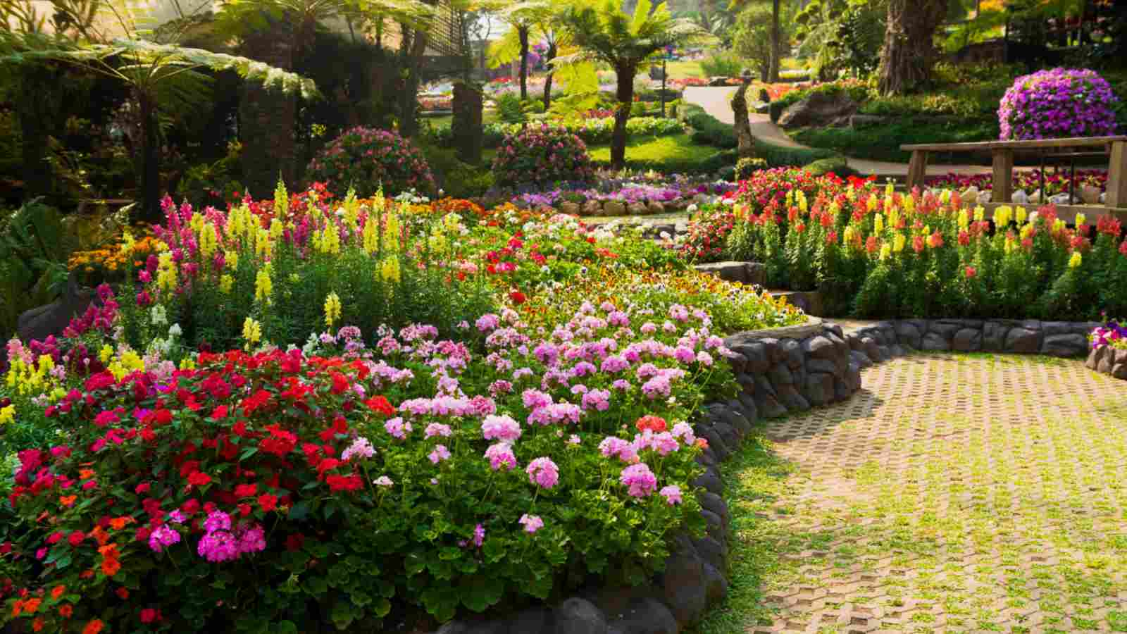 Flower Color Party