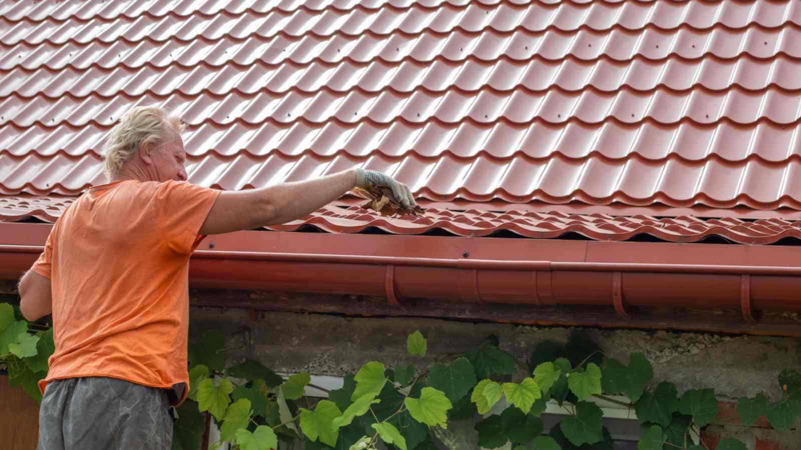 Gutter Cleaning