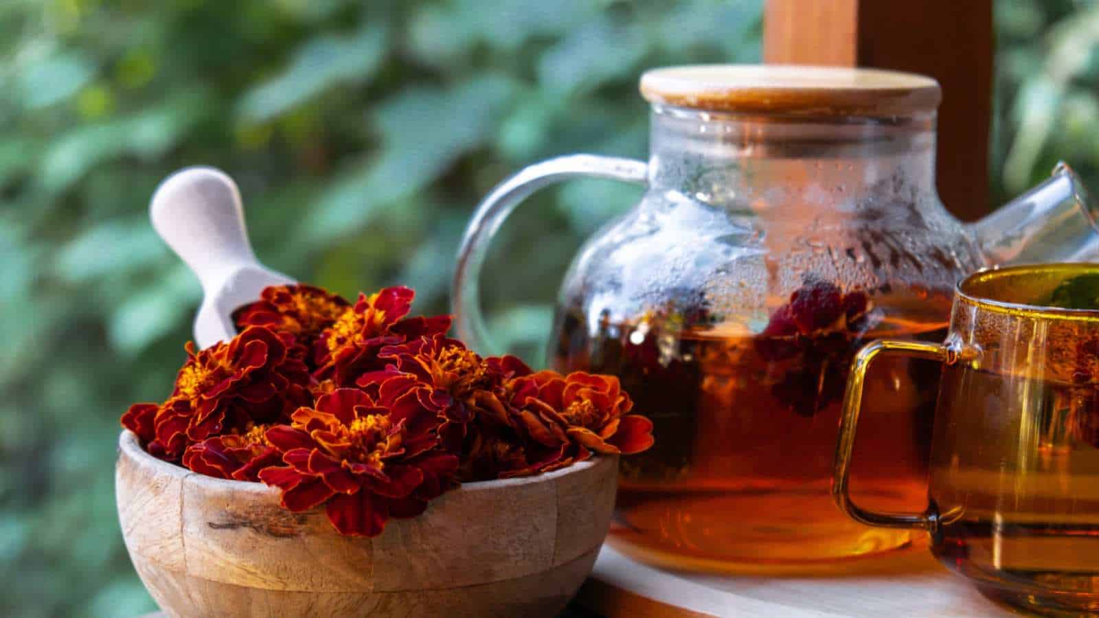 Medicinal Marvels Healing Properties