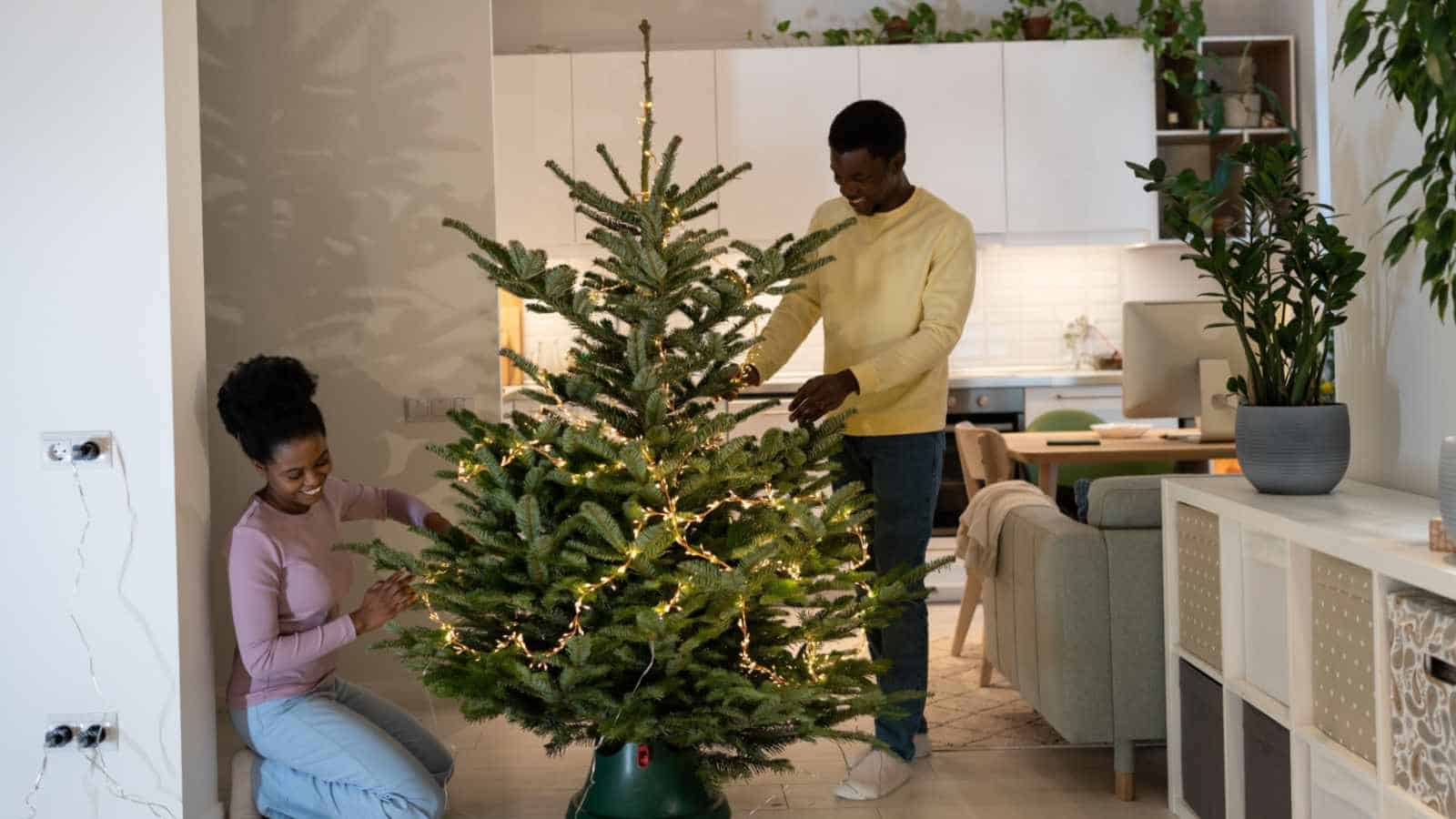 Place the tree in a shaded area