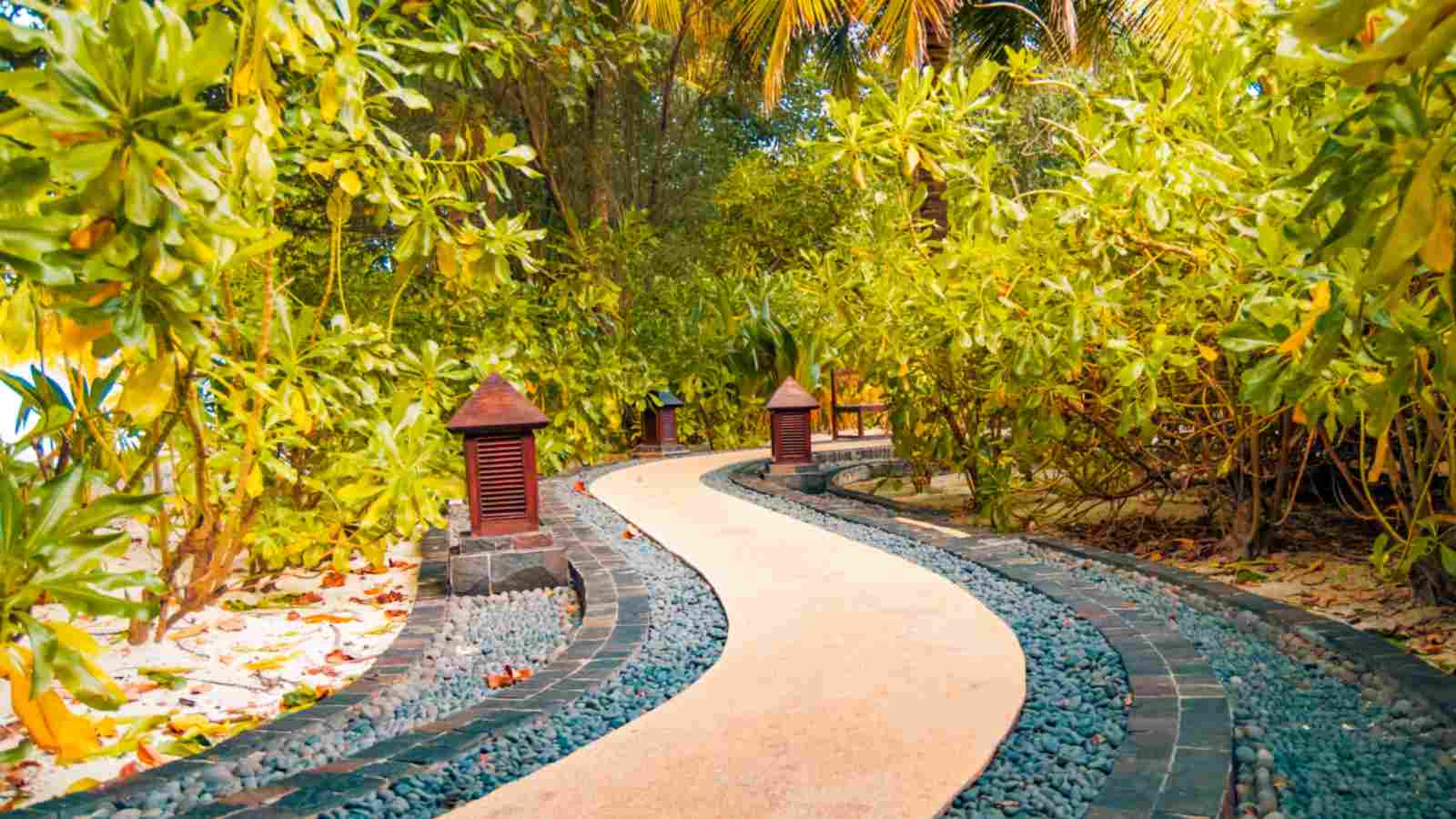 Scenic Walkway