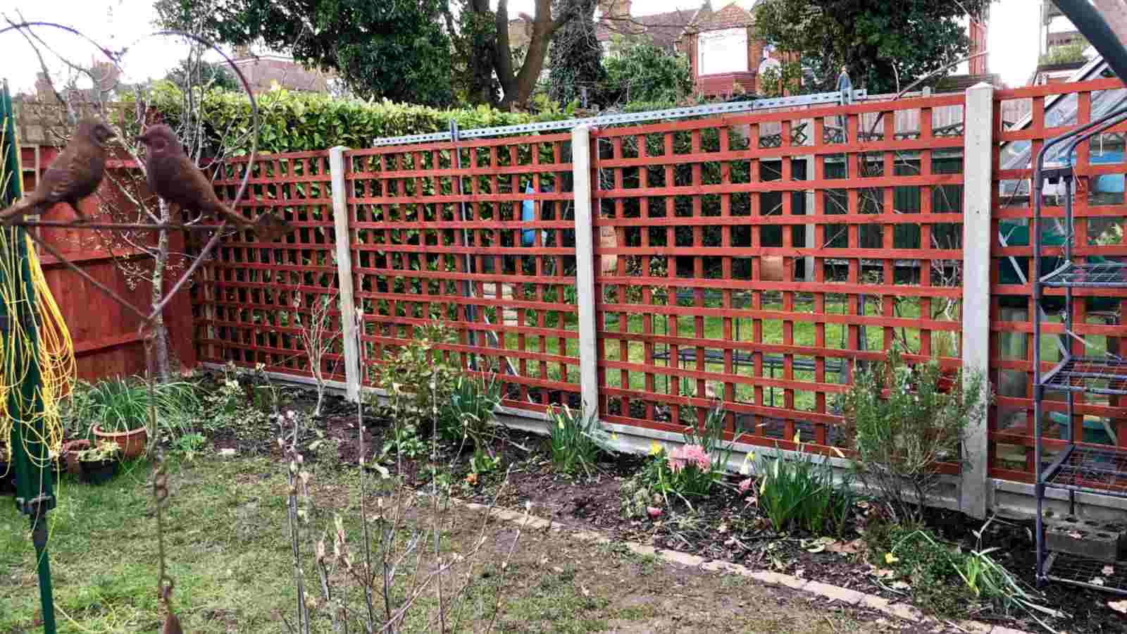 Trellis Fence