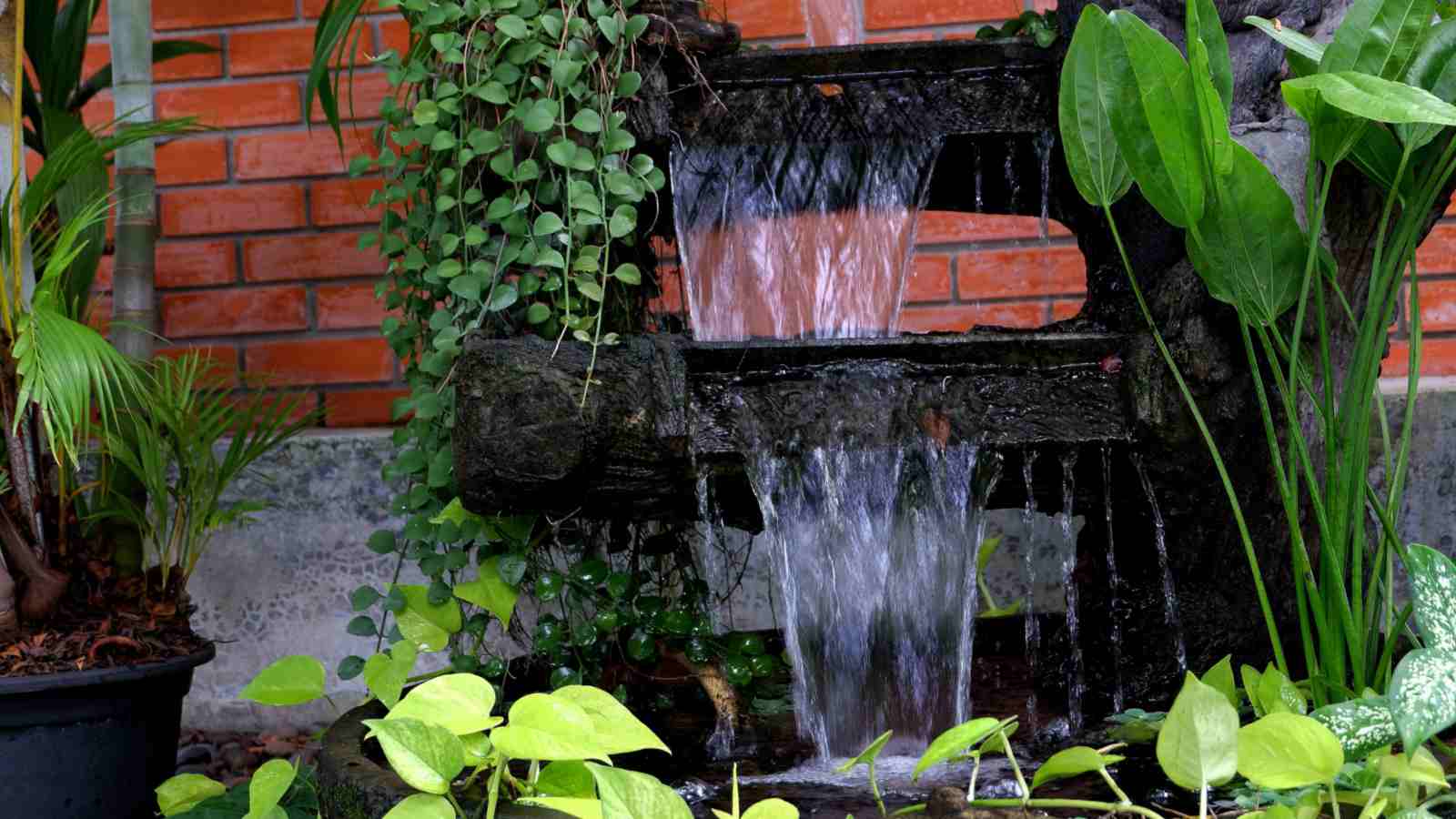 Water Feature