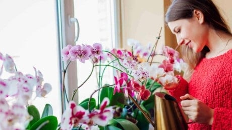 Woman taking care of orchids