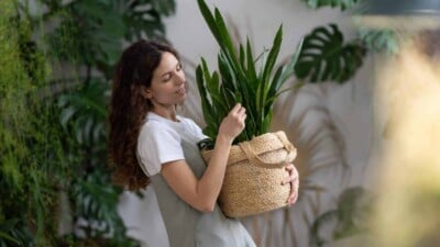 Woman with Snake Plant