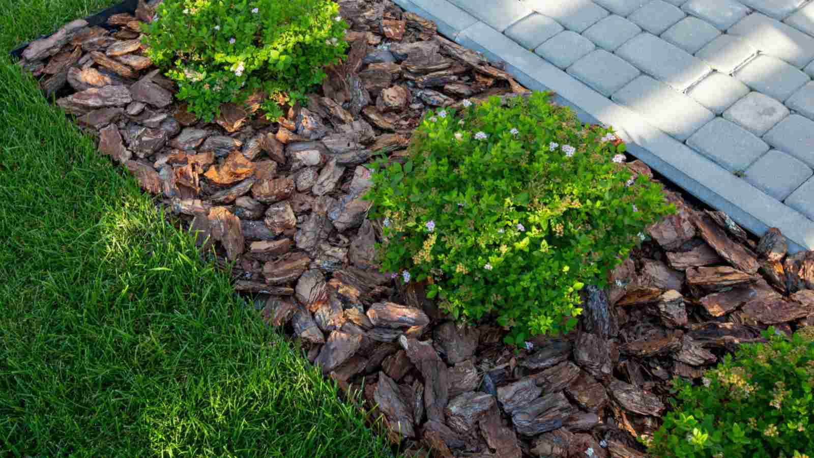 Wood Mulch