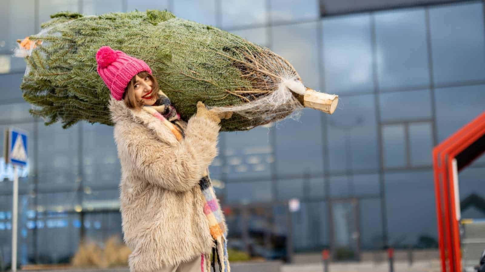 Wrap the tree during transportation