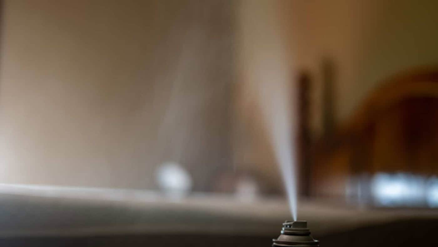 Bed Bug Bombs and Foggers: Do They Work? (Research Backed)