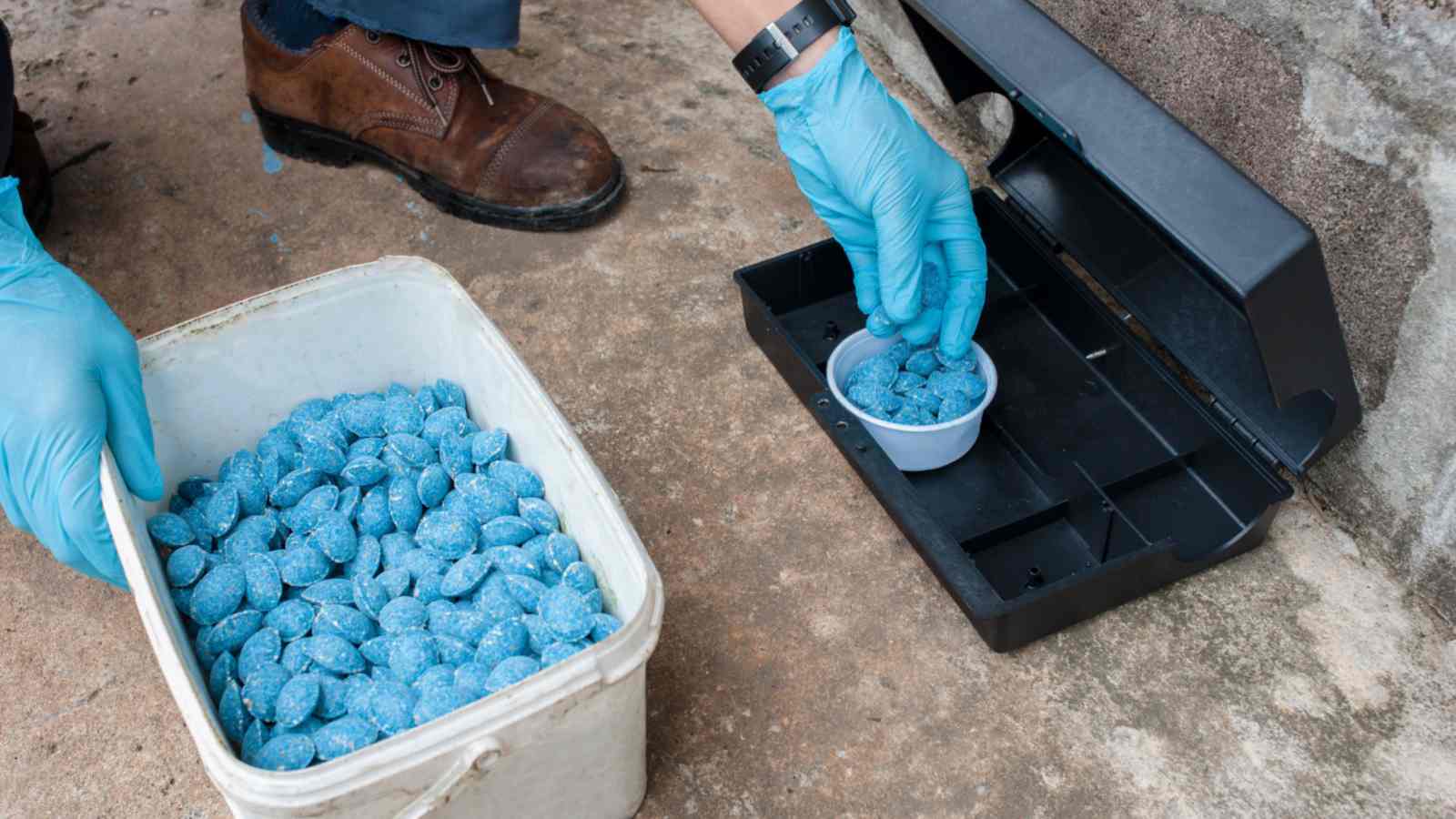 Man using poison bait