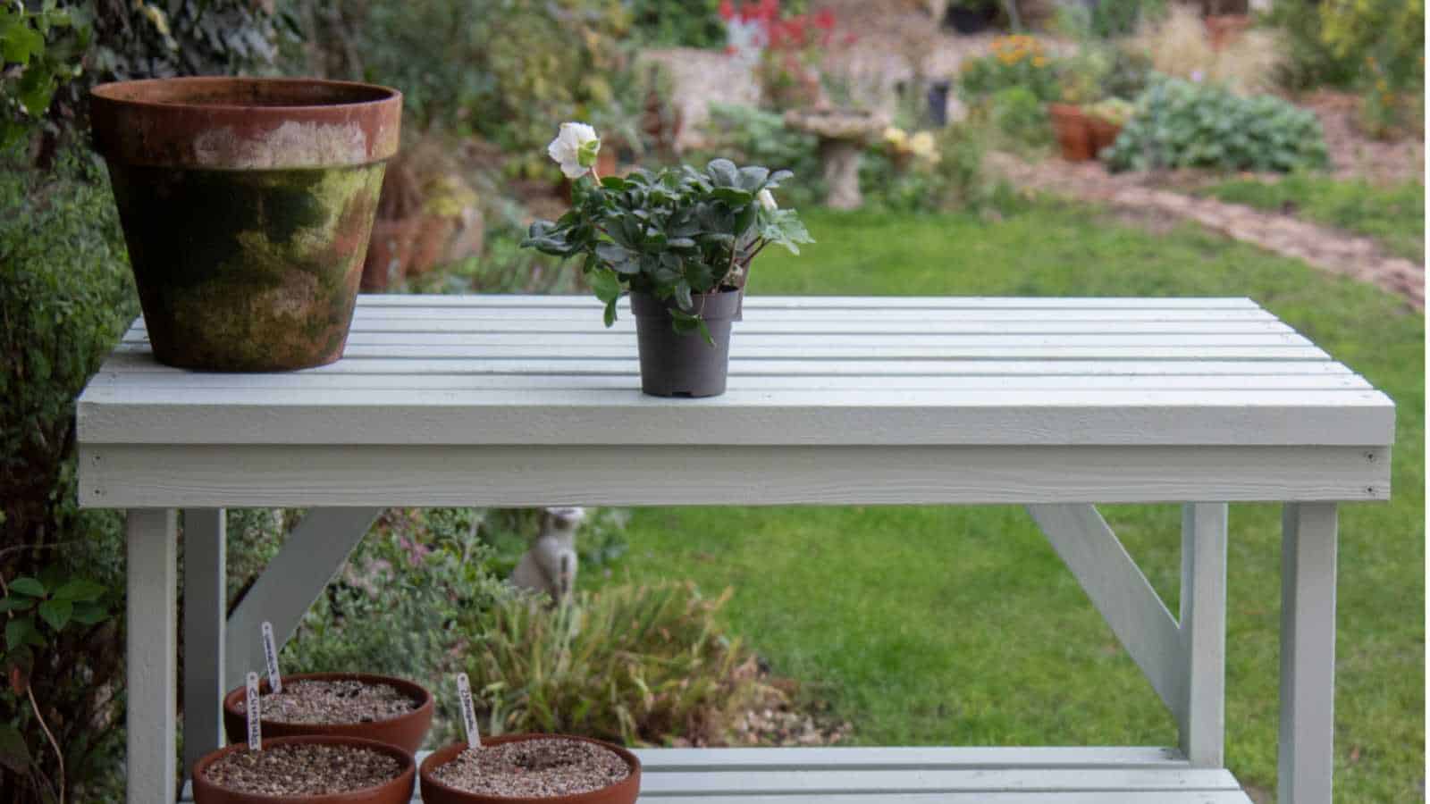 Build a Potting Bench