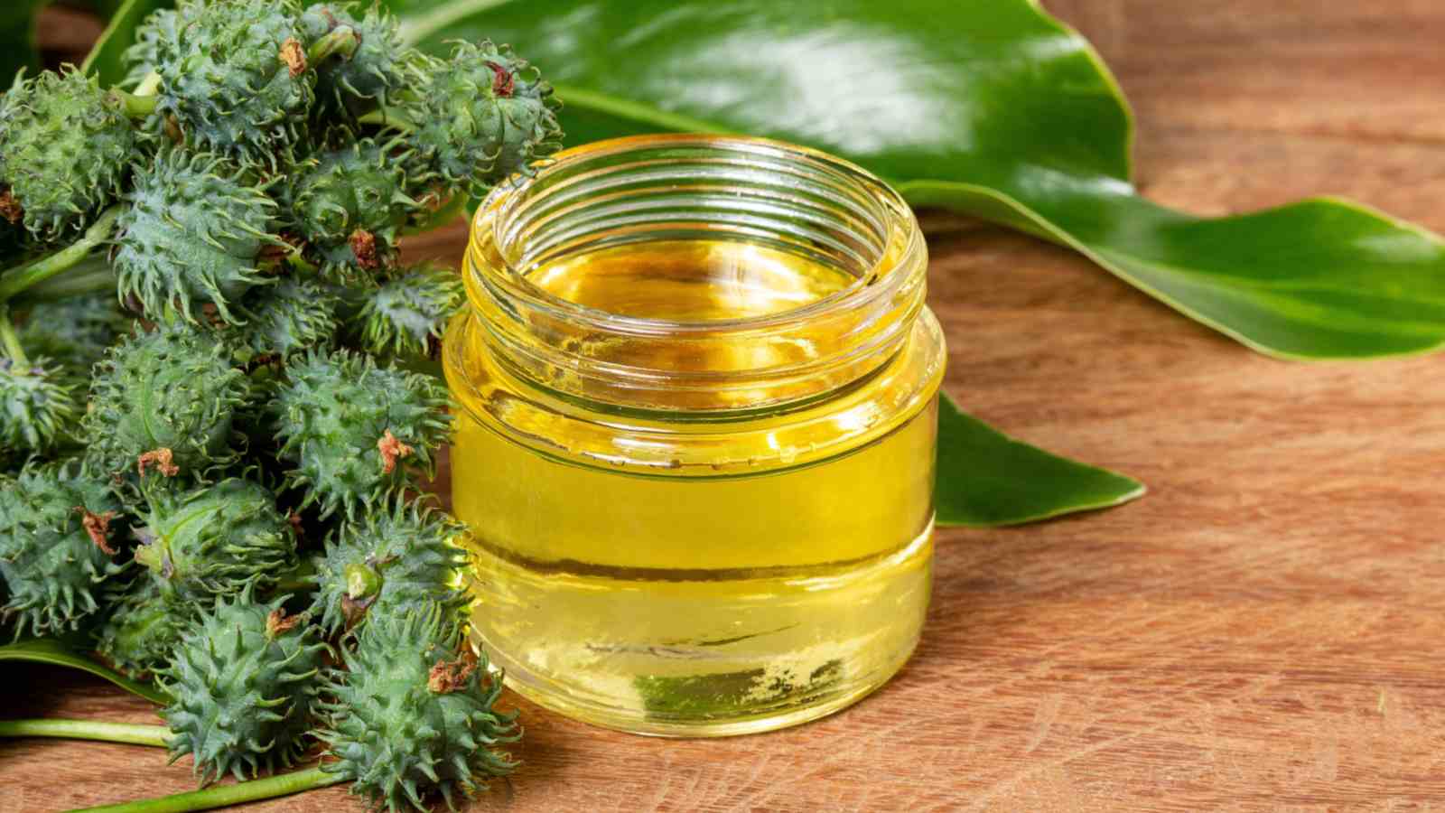 Castor oil in a glass container with green fruits and leaves on the table