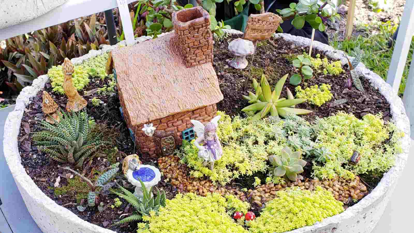 Design a Fairy Garden