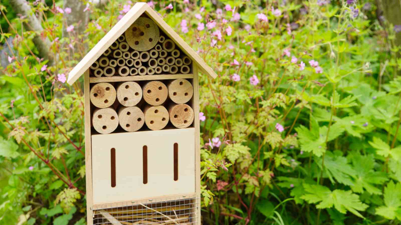 Make a Solitary Bee House