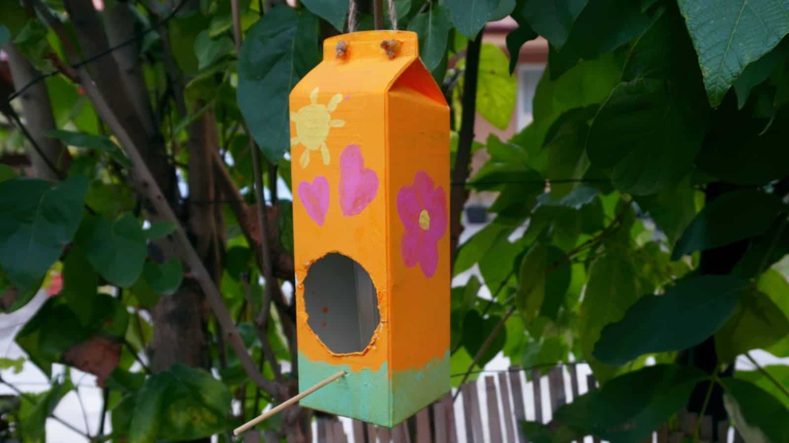 Make homemade bird feeders