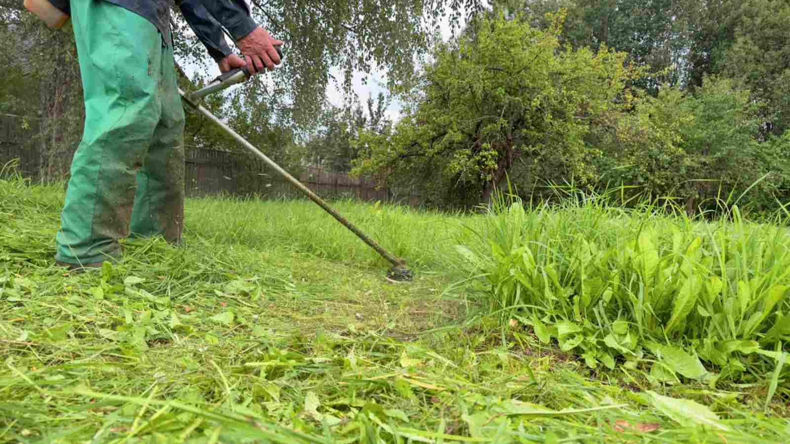 Man mowing grass