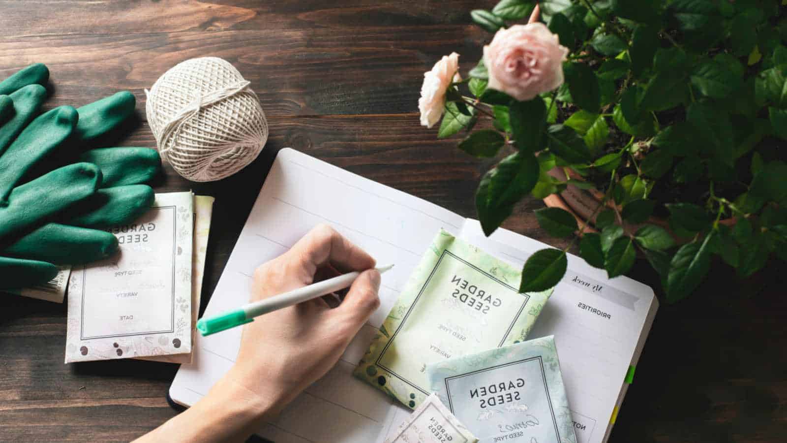 Plan your spring garden