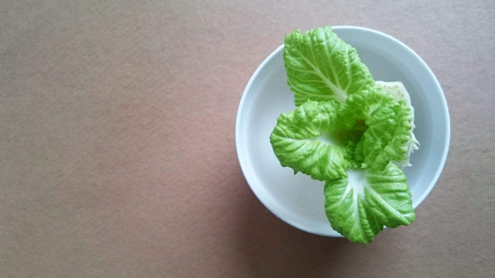 Regrow veggies from scraps