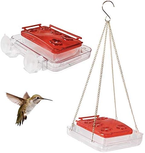 Sherwoodbase Cuboid Hummingbird Feeder with a hummingbird on white background