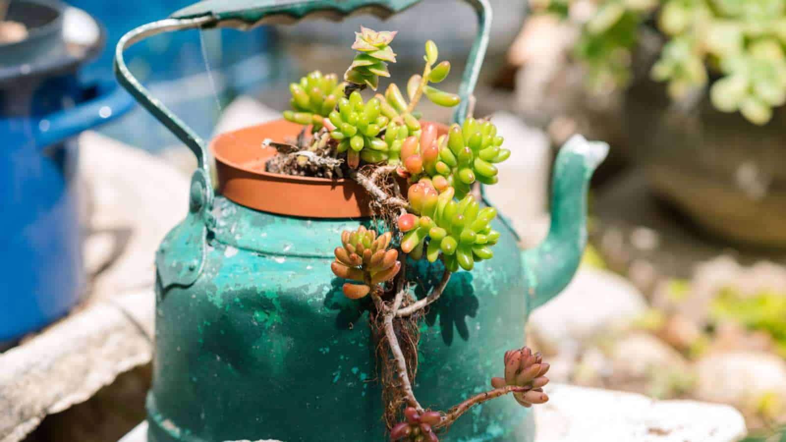 Upcycle Some Garden Art