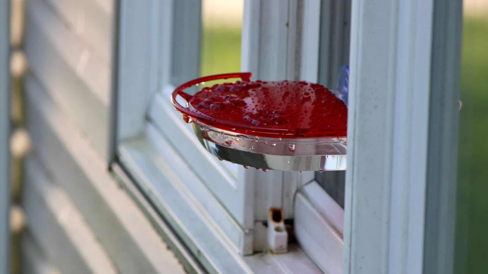 Red hummingbird window feeder