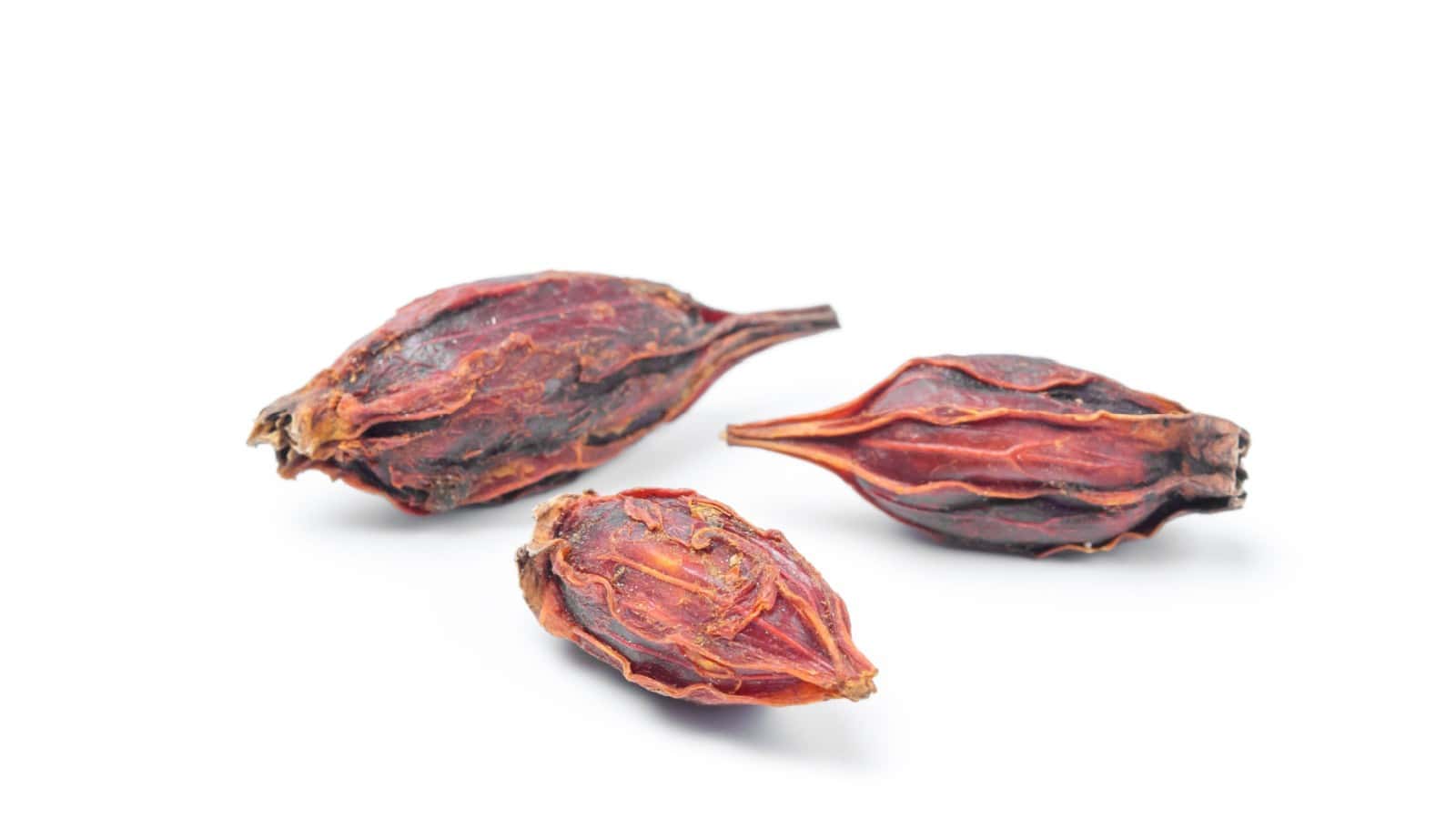 Chrysanthemum seeds isolated on a white background