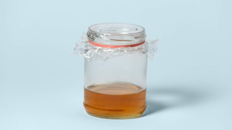 How to Make and Use DIY Fruit Fly Traps for Effective Control