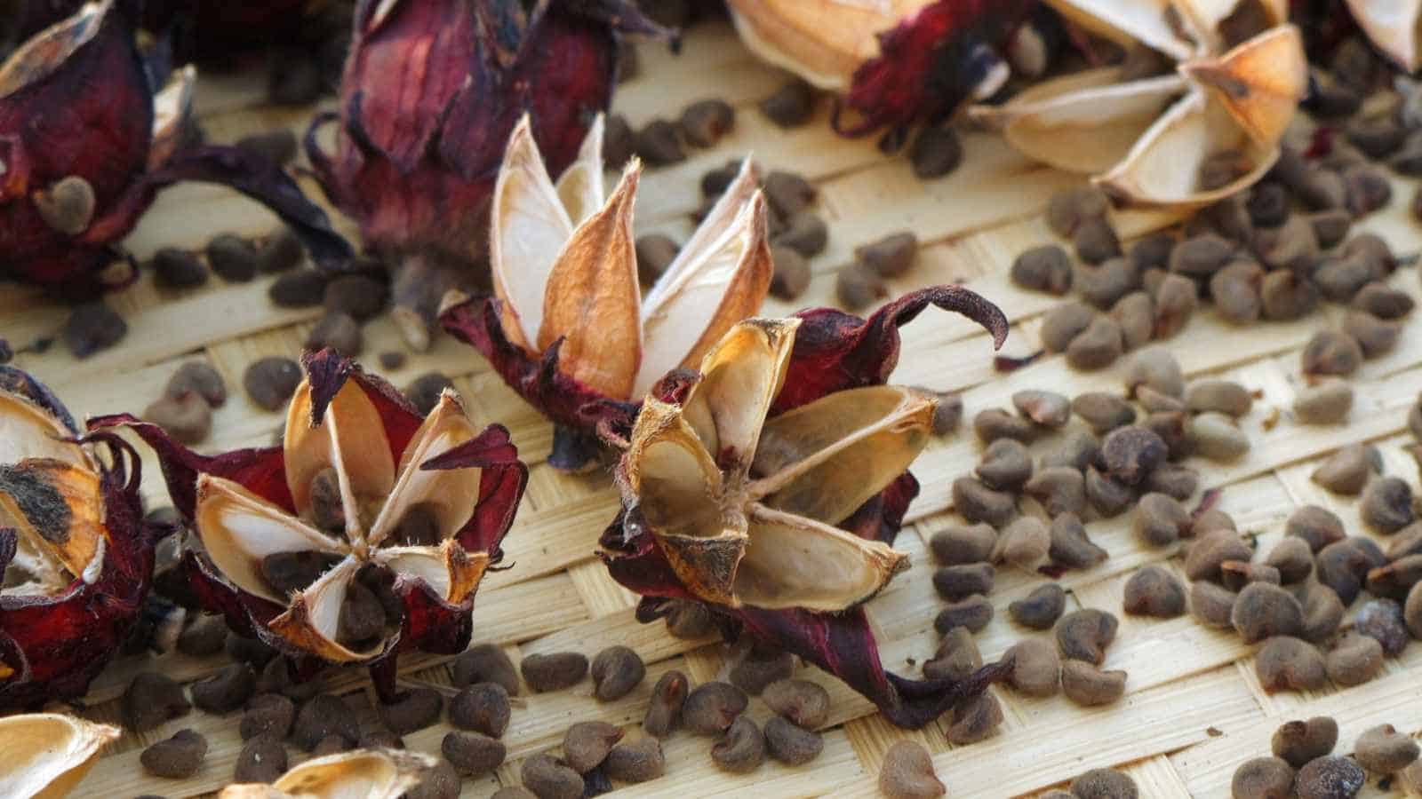 Hibiscus seeds on a woven table