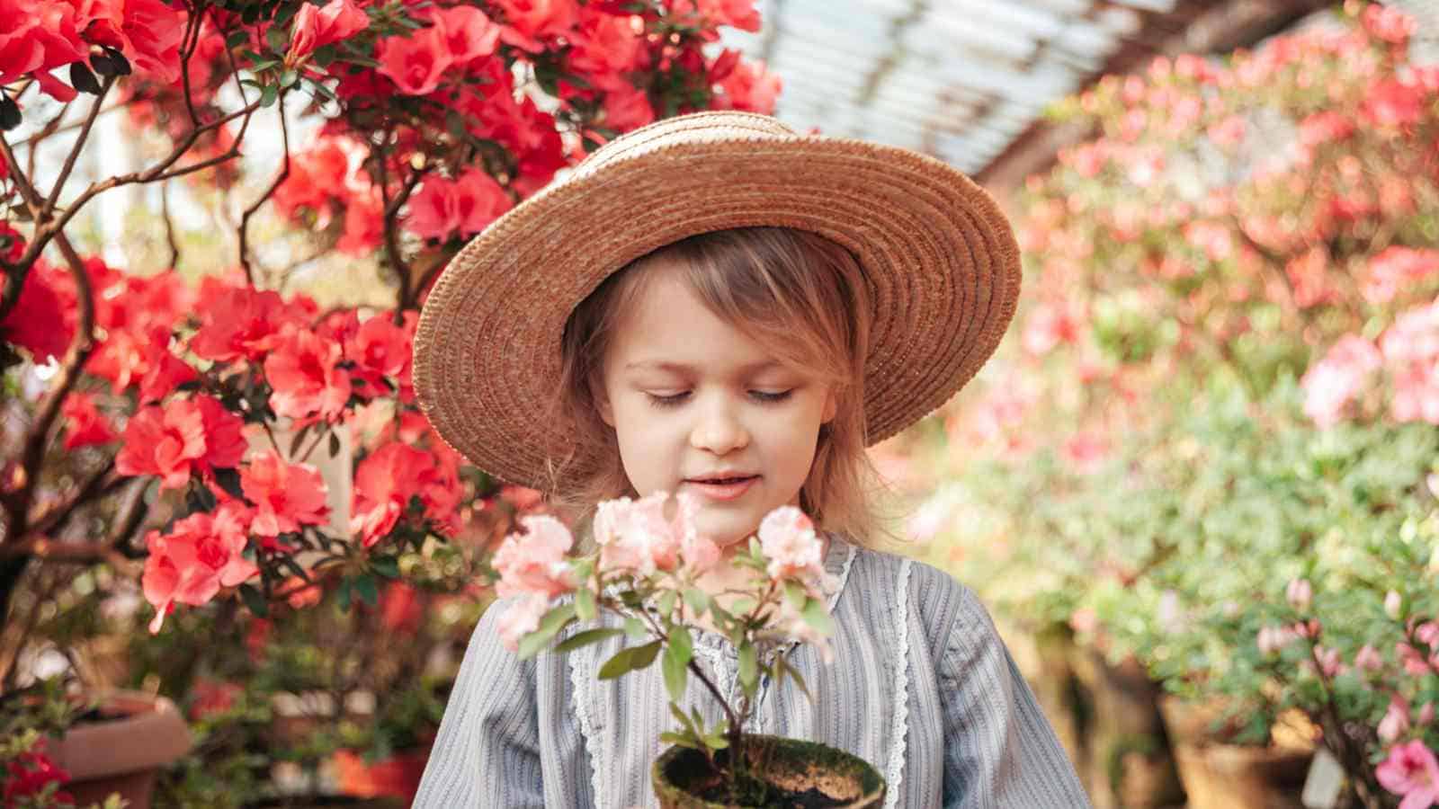 Girl holding an azalea on a pot