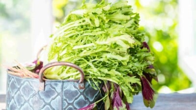 Endive on a basket