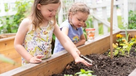 2 young girls gardening in a raised bed garden