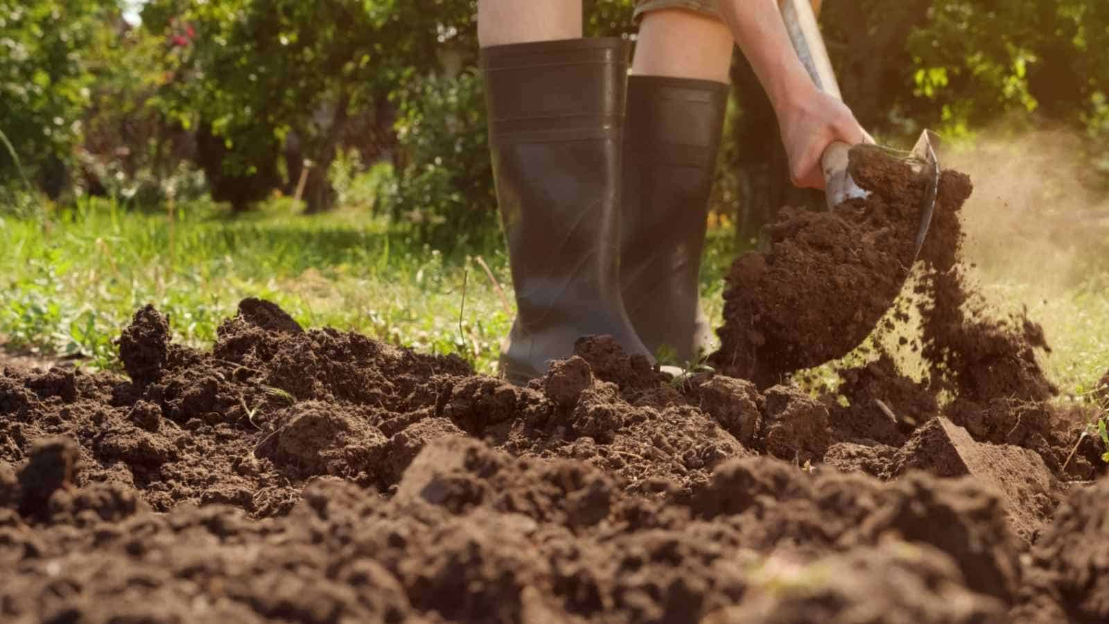Man with boots preparing the soil with shovel