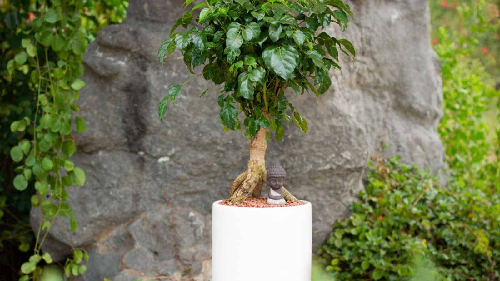 China doll placed outdoors on a white pot