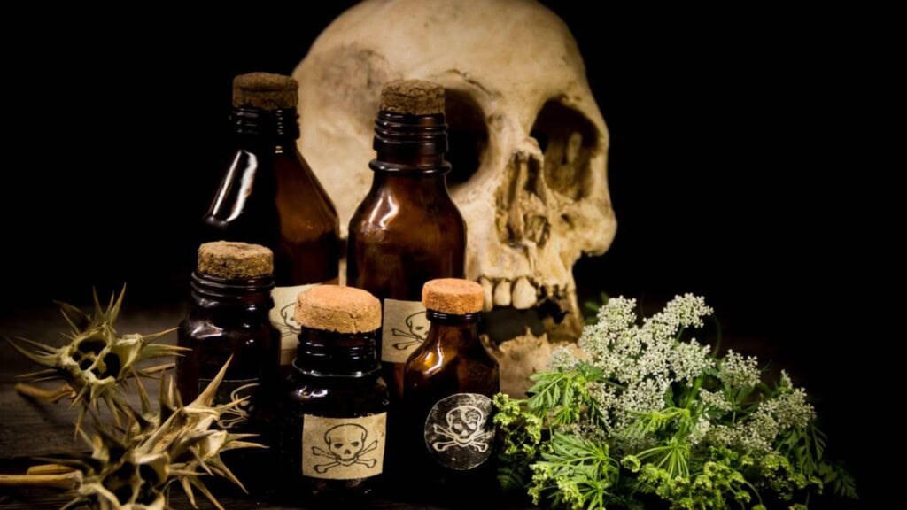 Skull, poison bottles and flowers