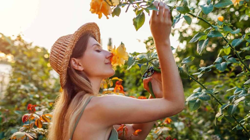 Young woman smelling flowers on summer