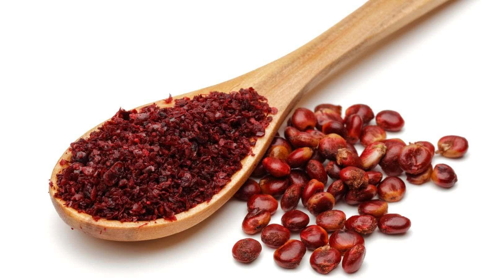 Close up view of Ground Sumac in wooden spoon and sumac berries on white background