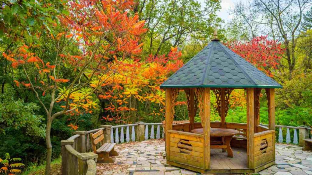 Alcove in the autumn garden with the reddish leaves of Sumac vinegar (Rhus typhina)