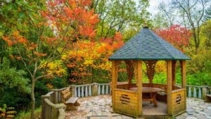 Alcove in the autumn garden with the reddish leaves of Sumac vinegar (Rhus typhina)