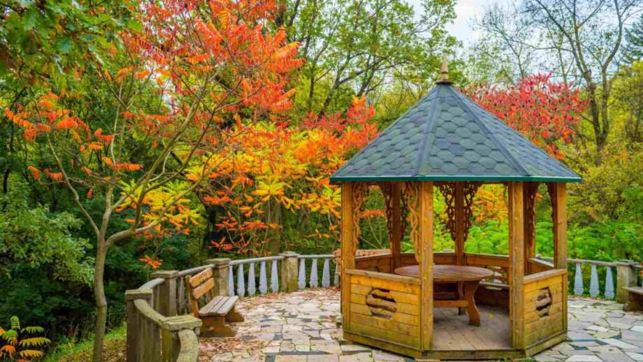 Alcove in the autumn garden with the reddish leaves of Sumac vinegar (Rhus typhina)