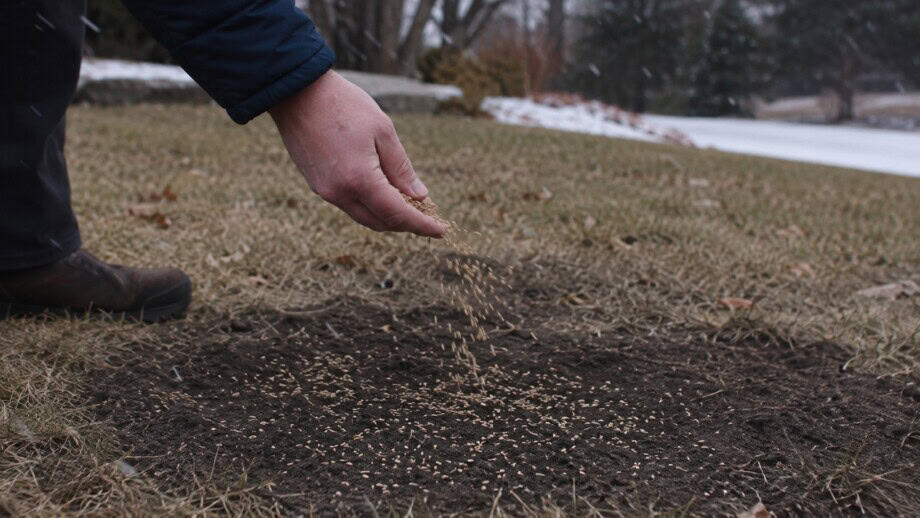 A hand spreads grass seed over a small bare patch of dormant lawn in late fall.