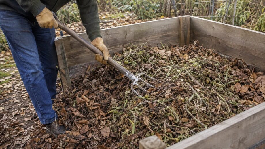 Gardener mixing chopped healthy tomato vines and dry leaves in an open compost pile.