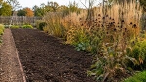 Tidy vegetable bed beside a perennial border with standing seedheads in autumn.