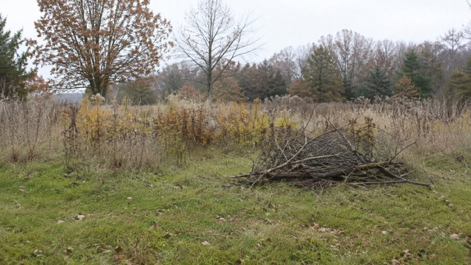 Small loose brush pile in an out of the way garden corner.